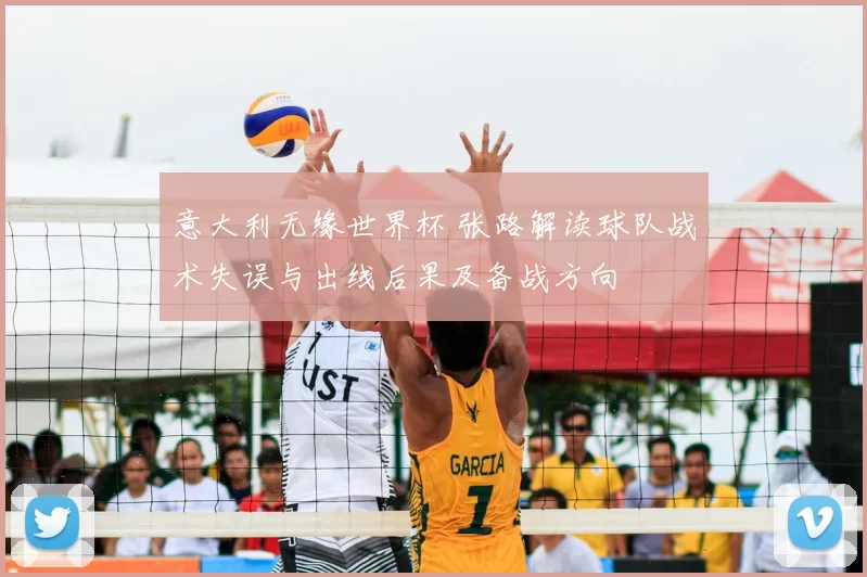 意大利无缘世界杯 张路解读球队战术失误与出线后果及备战方向