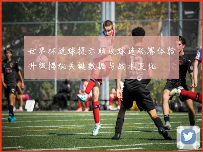 世界杯进球提示助攻球迷观赛体验升级揭秘关键数据与战术变化
