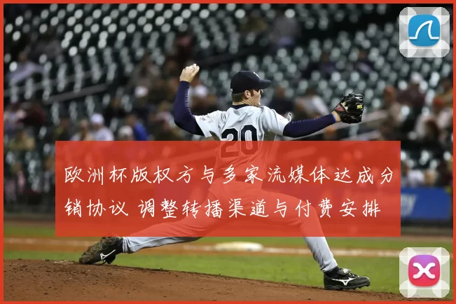 欧洲杯版权方与多家流媒体达成分销协议 调整转播渠道与付费安排